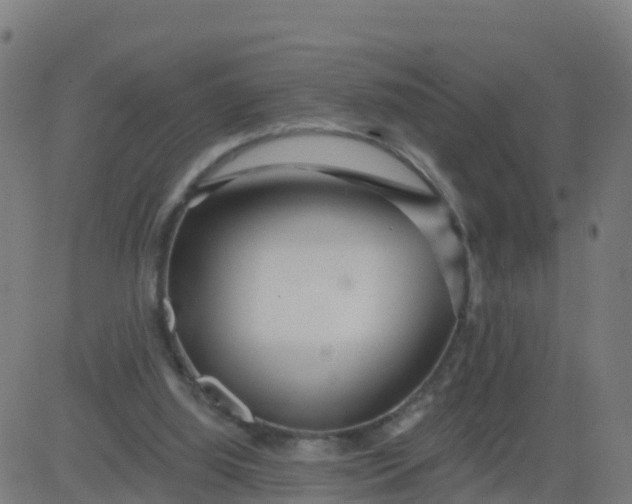 X0000084600060200703091939