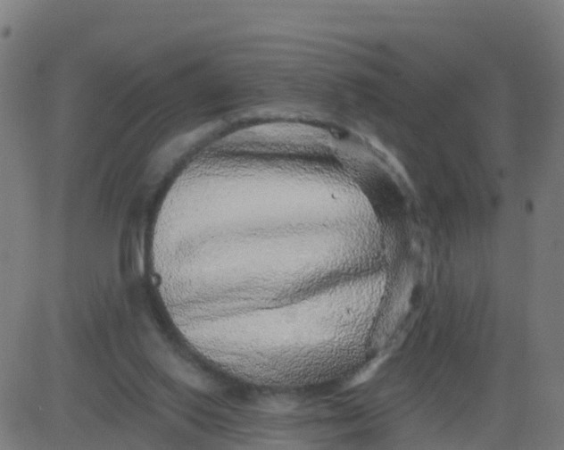 X0000084600062200703091939