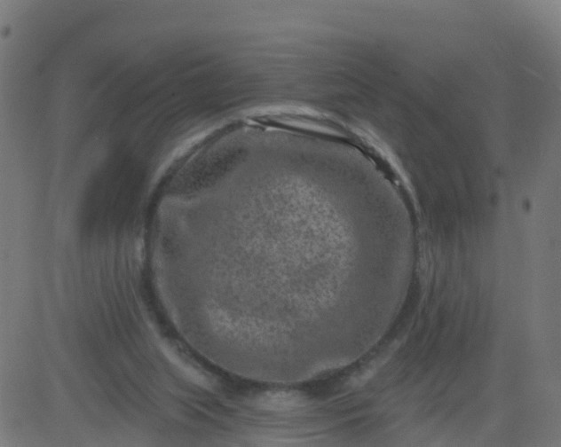 X0000084600063200703091939