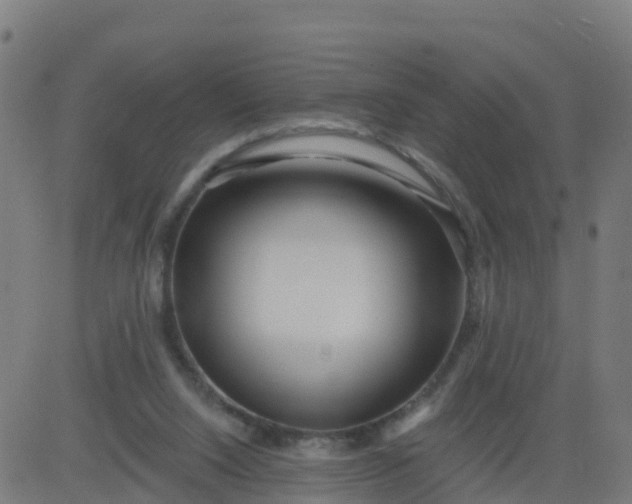 X0000084600064200703091939