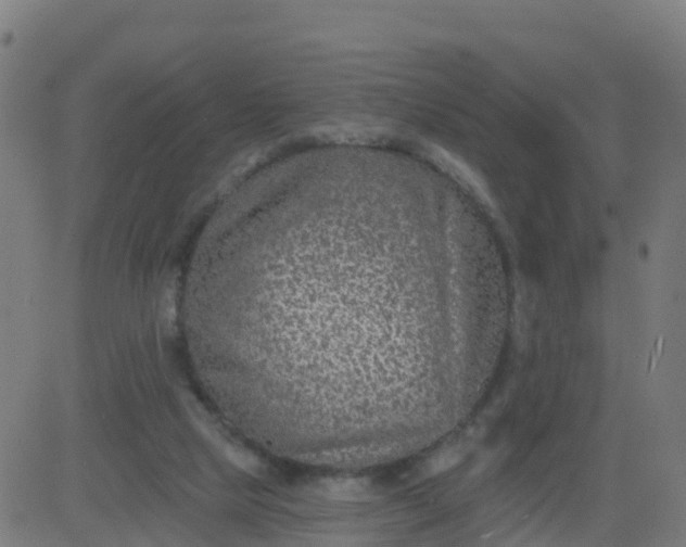 X0000084600065200703091939