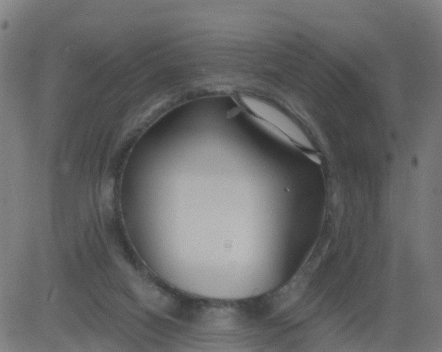 X0000084600066200703091939