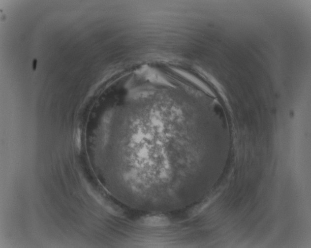 X0000084600067200703091939