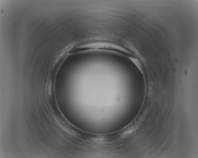 X0000084600068200703091939