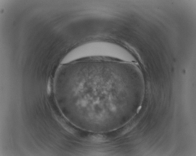 X0000084600069200703091939