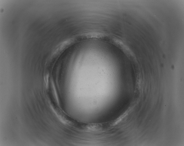 X0000084600070200703091939