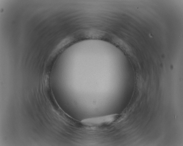 X0000084600071200703091939