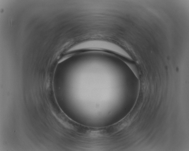 X0000084600072200703091939