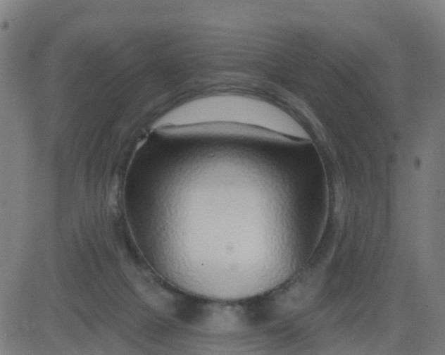 X0000084600073200703091939