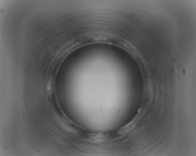 X0000084600074200703091939