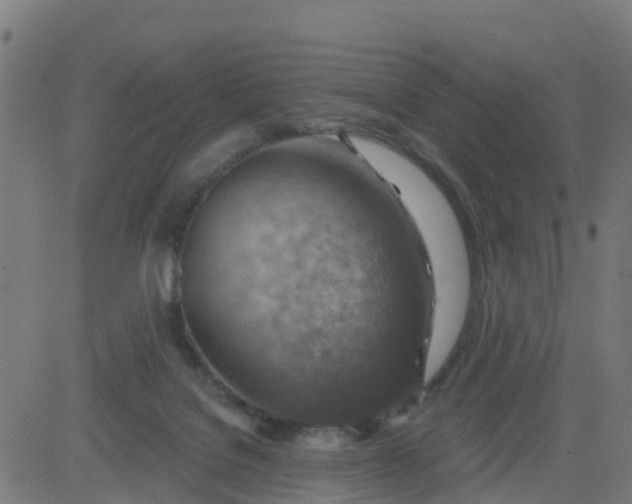 X0000084600076200703091939