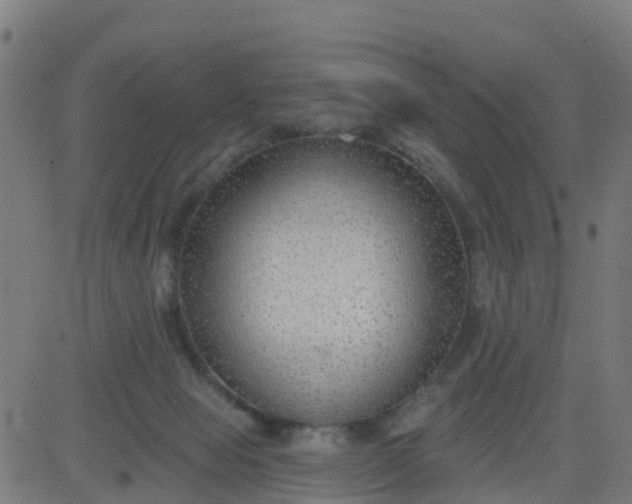 X0000084600077200703091940