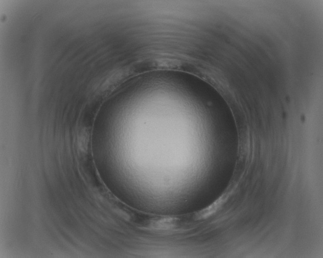 X0000084600078200703091940