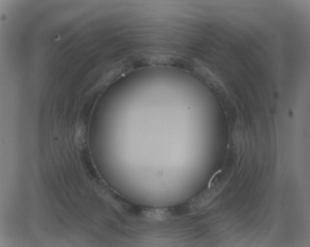 X0000084600079200703091940