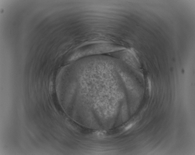 X0000084600080200703091940