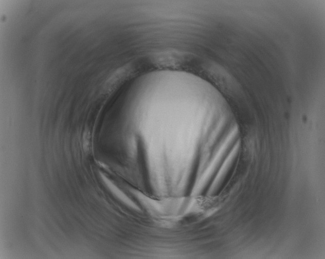 X0000084600081200703091940