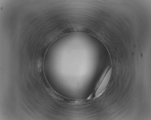 X0000084600082200703091940