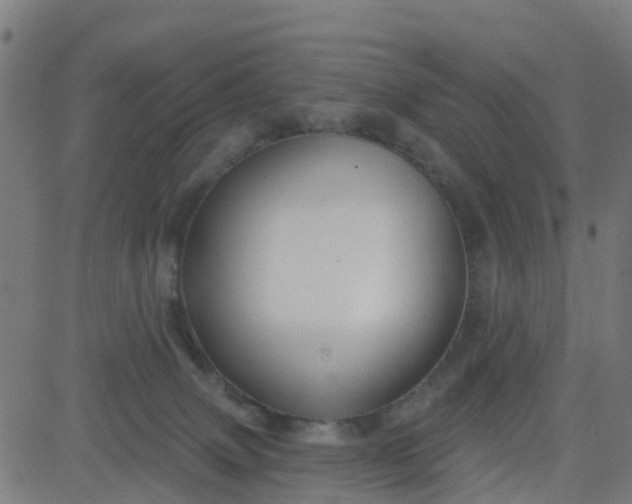 X0000084600083200703091940