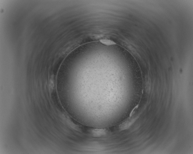 X0000084600085200703091940