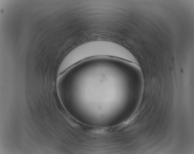 X0000084600086200703091940