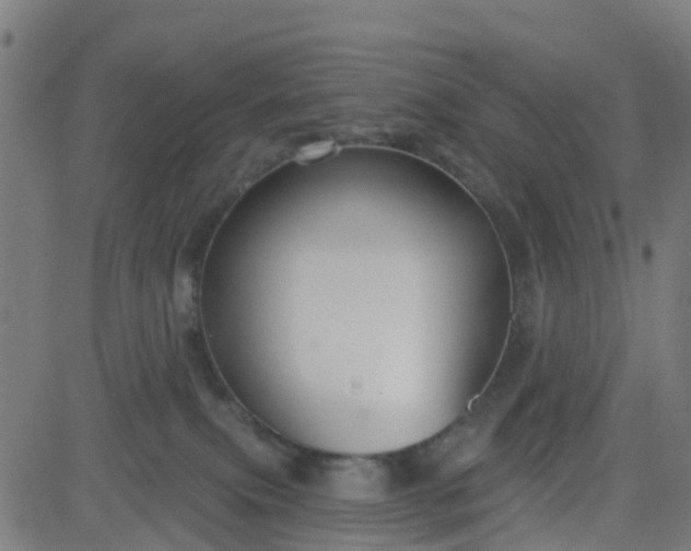 X0000084600087200703091940