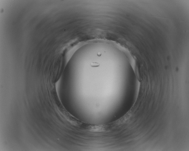 X0000084600088200703091940