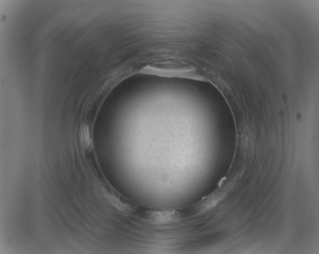 X0000084600089200703091940