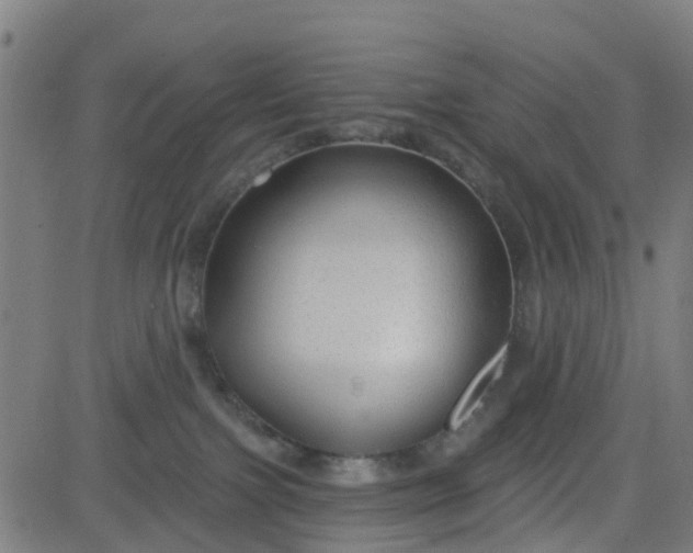 X0000084600091200703091940