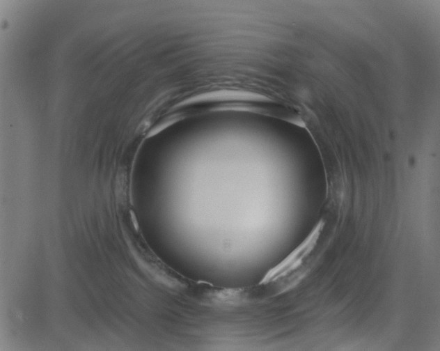 X0000084600092200703091940