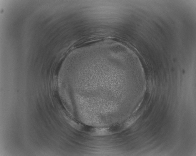 X0000084600093200703091940