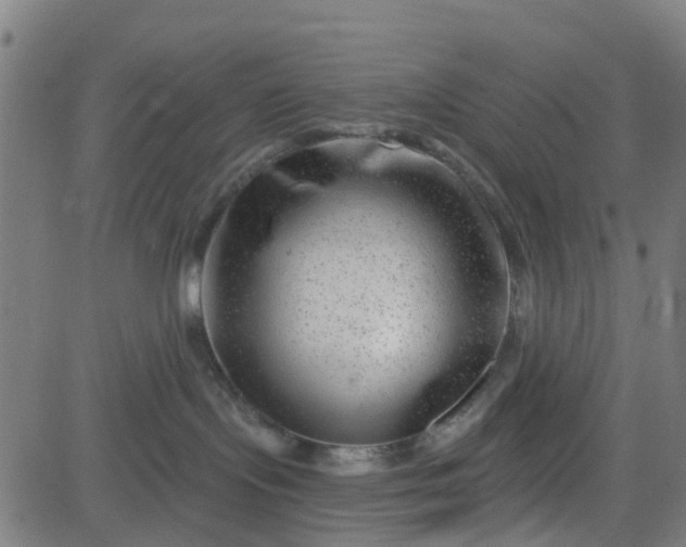 X0000084600095200703091940