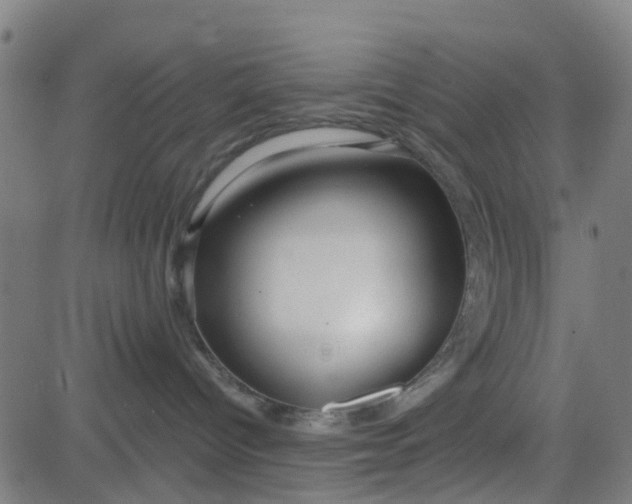 X0000084600096200703091940