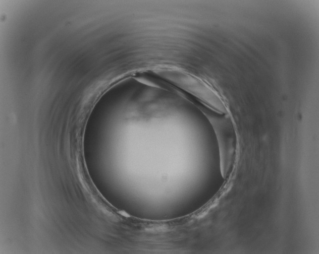 X0000084600097200703091939