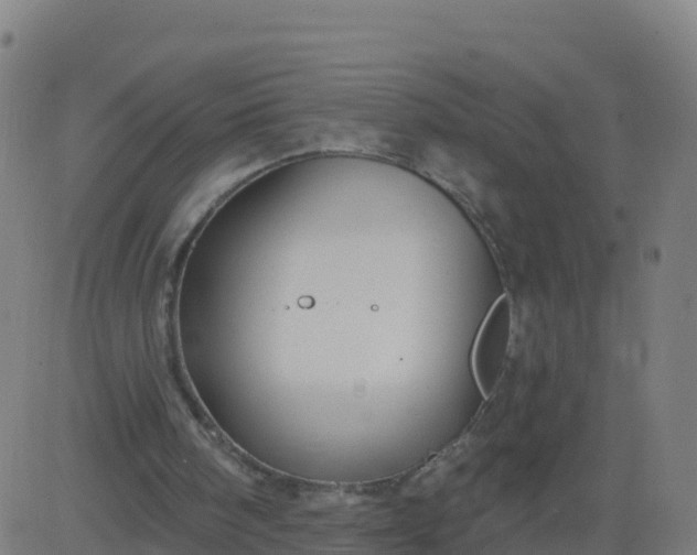 X0000084600098200703091939