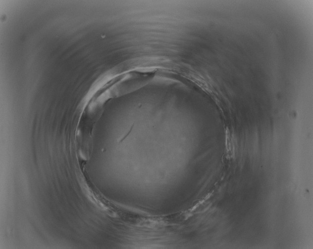 X0000084600099200703091939