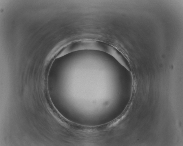 X0000084600101200703091939