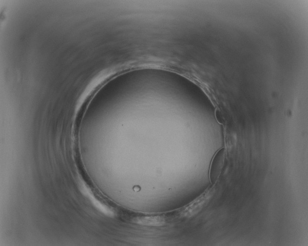 X0000084600102200703091939