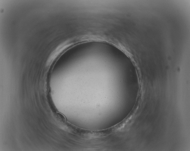 X0000084600103200703091939