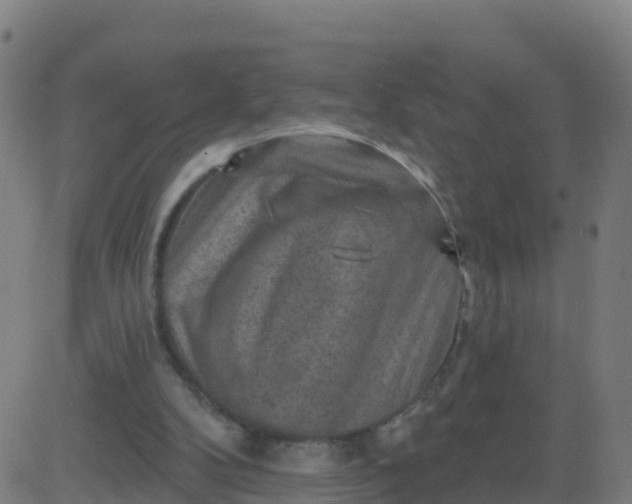 X0000084600104200703091939