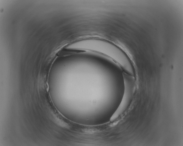 X0000084600105200703091939