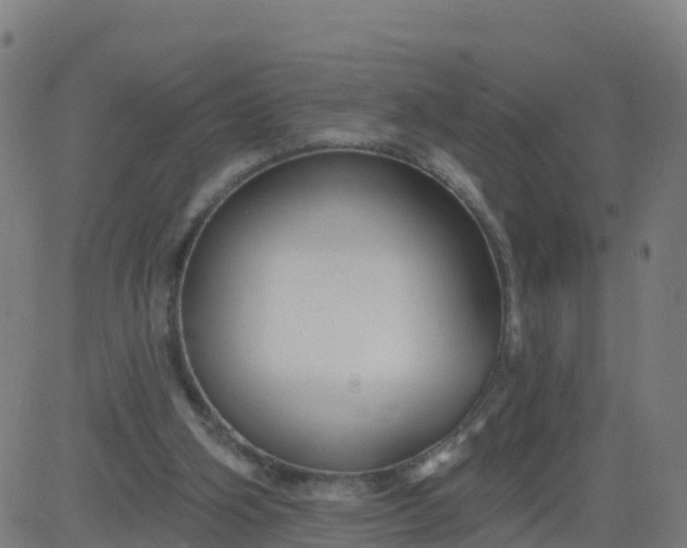 X0000084600106200703091939