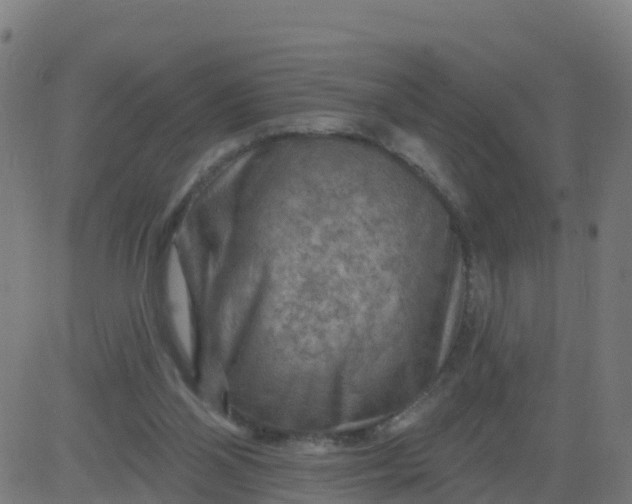 X0000084600110200703091939