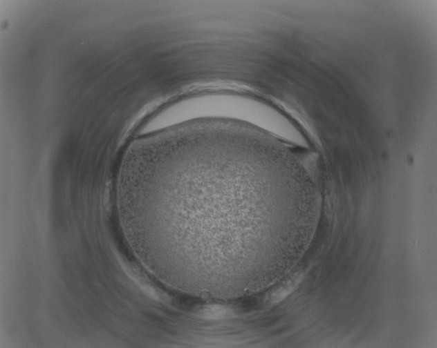 X0000084600111200703091939