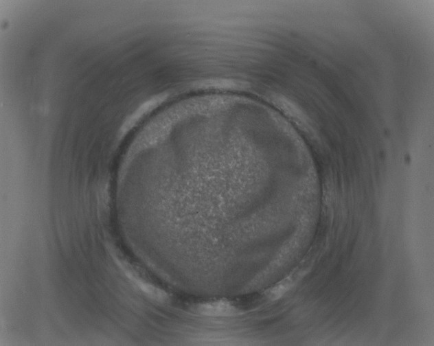 X0000084600112200703091939