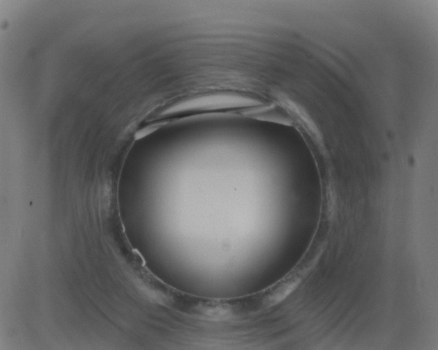 X0000084600113200703091939