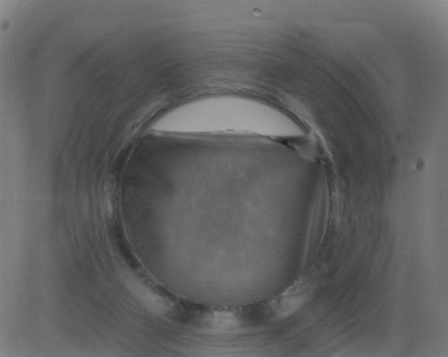 X0000084600114200703091939