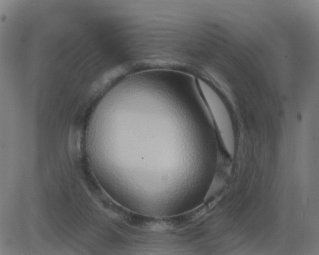 X0000084600115200703091939