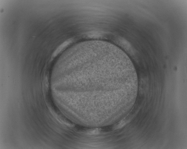 X0000084600116200703091939