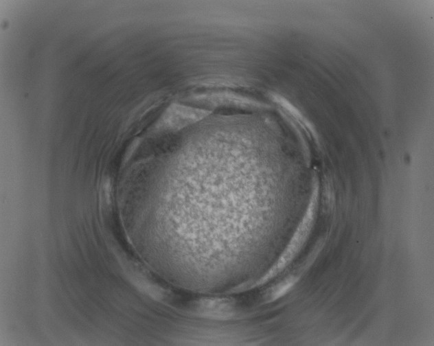 X0000084600117200703091939