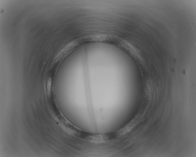 X0000084600118200703091939